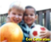 Fotografía simulada de las cataratas
