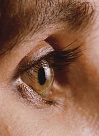 Fotografía de un ojo, vista externa detallada