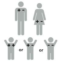 Illustration of Rh factor: baby is ++Rh positive, +-Rh negative, or --Rh negative