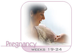 Healthy Pregnancy Newsletter - Pregnancy Weeks 19-24