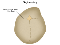 Illustration of a newborn
