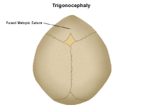 Illustration of a newborn
