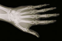 Picture of a male radiologist