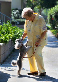 Picture of an elderly woman walking her dog