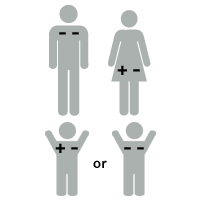 Illustration of Rh factor: baby is +-Rh negative or --Rh positive