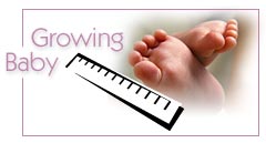 Healthy Pregnancy Newsletter - Growing Baby