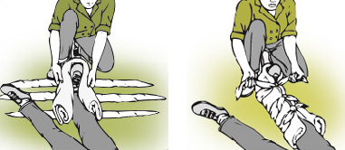 Illustration of soft splint