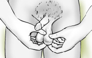 Illustration of testicular self-examination