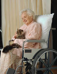 Picture of an elderly woman, in a wheelchair, with a kitten